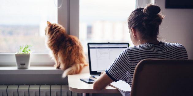 The Ultimate Guide to Remote Work: How to Be Productive and Stay Connected